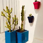 Casa Azul Cotillo