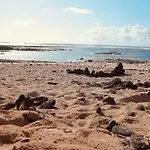 דירה Casa Azul Cotillo