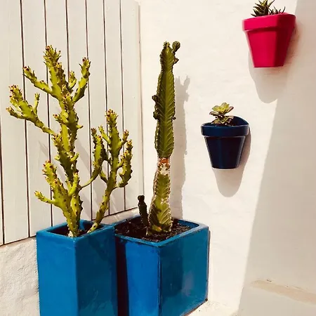 Casa Azul Cotillo